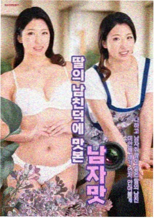 次元城动漫下载追番路线规划示意图